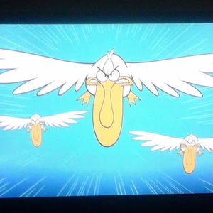 Meet your Posher, Vidal